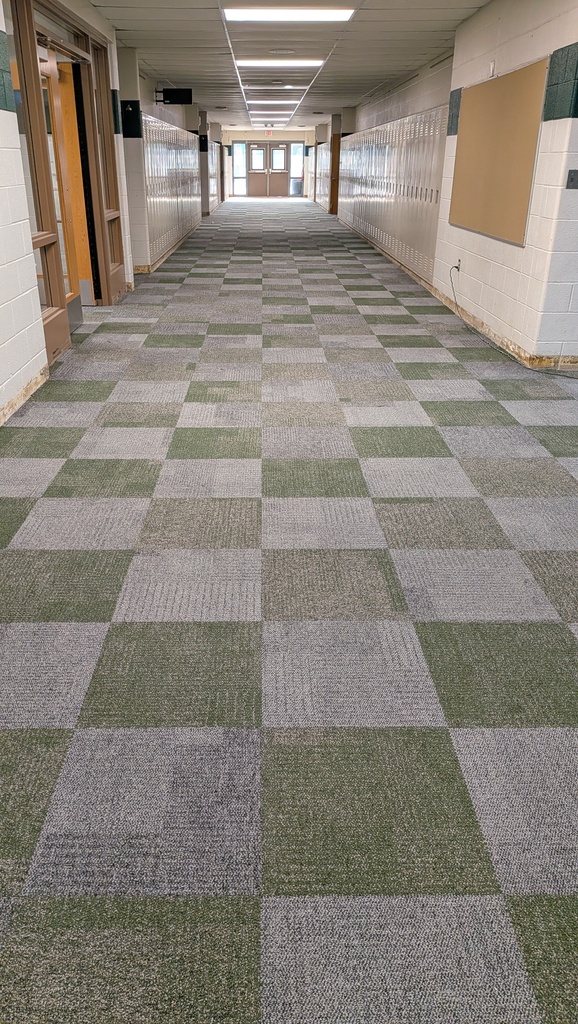 ms carpet