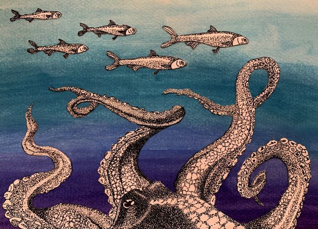 Ava Velasquez  - Freshman Tezza-6687