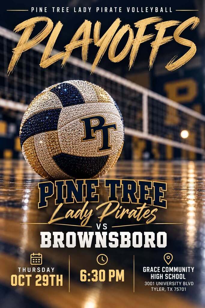 Volleyball Playoffs