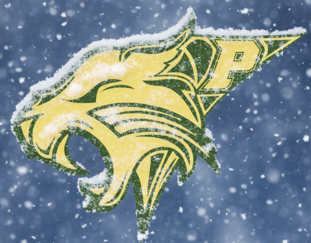 WILDCAT SNOW