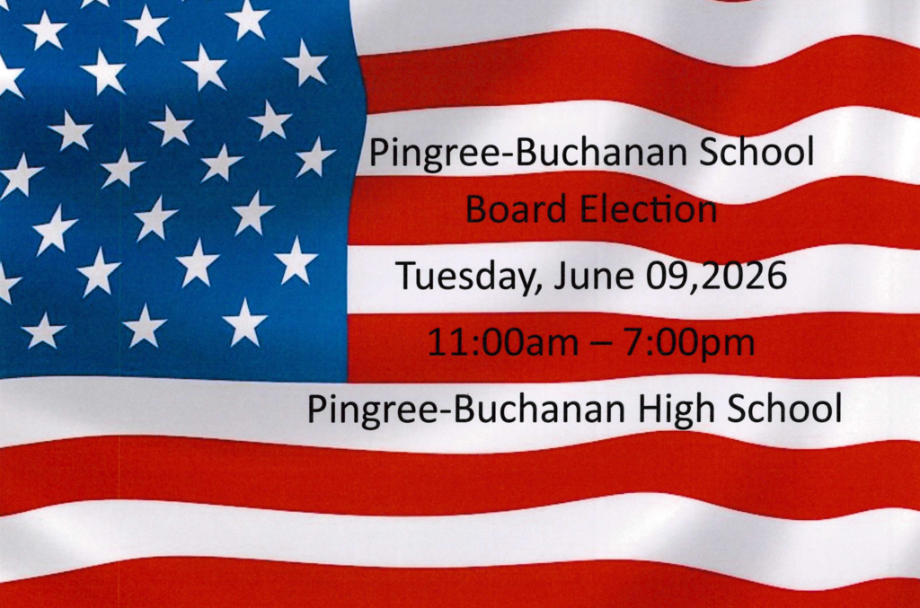 School Board Elections