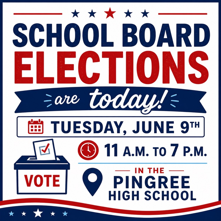SB elections