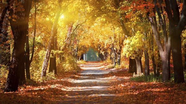 september