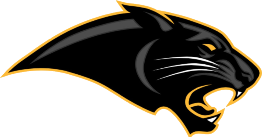 Pioneer logo