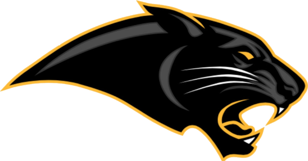 Pioneer logo