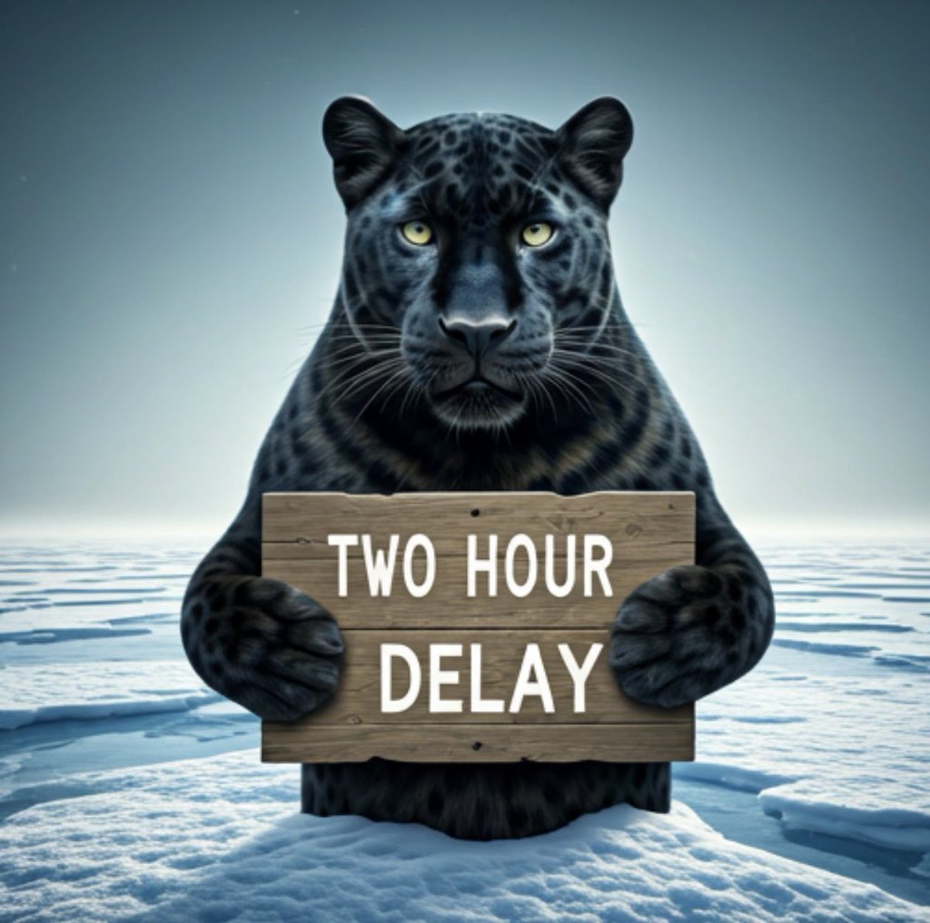 Delay
