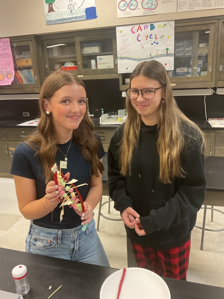 DNA models