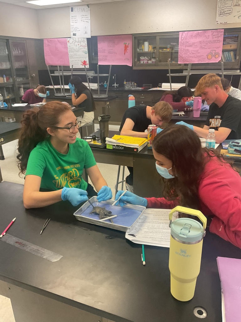 Dissection