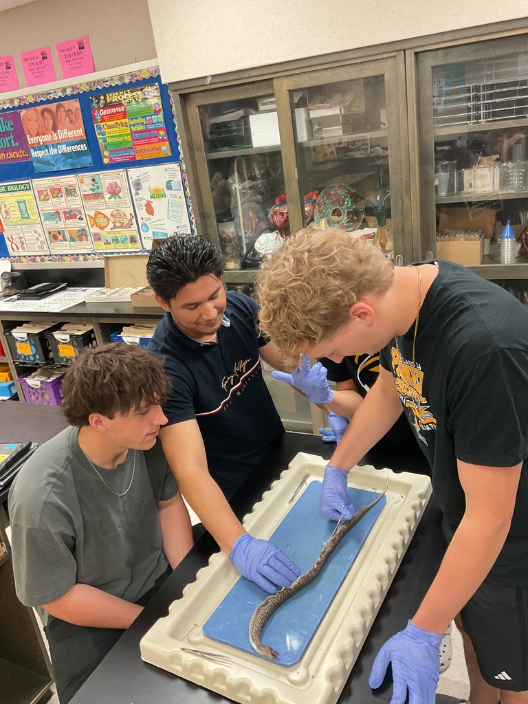 Dissection