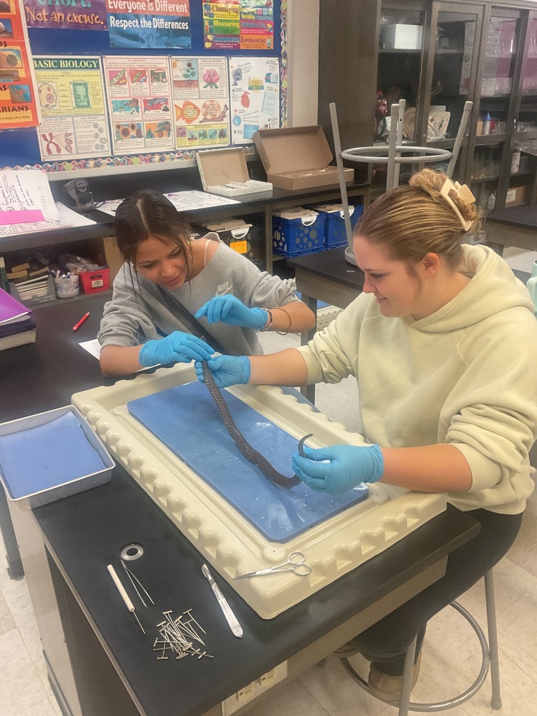 Dissection