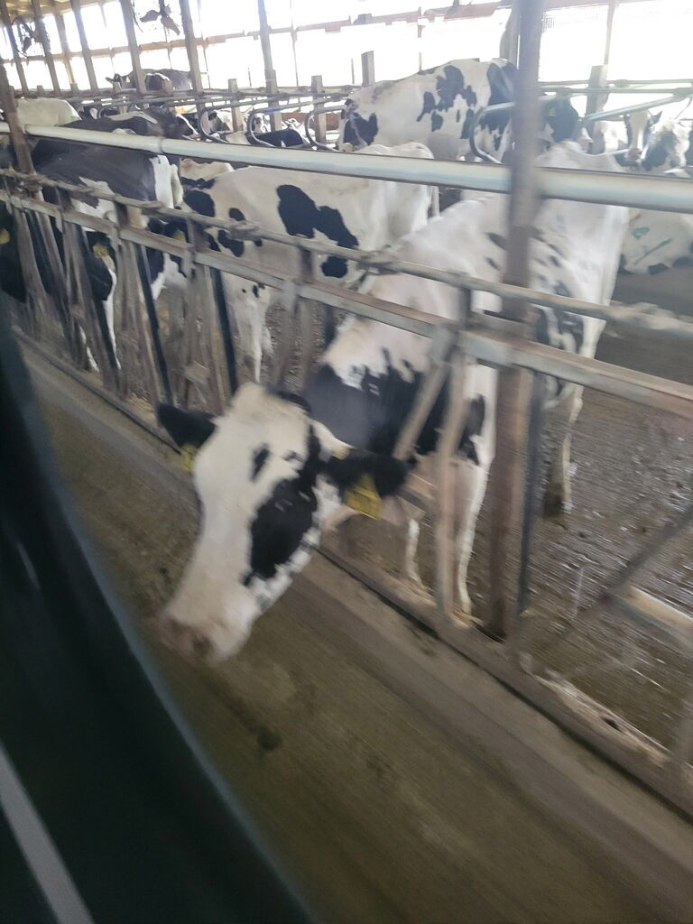 Field trip