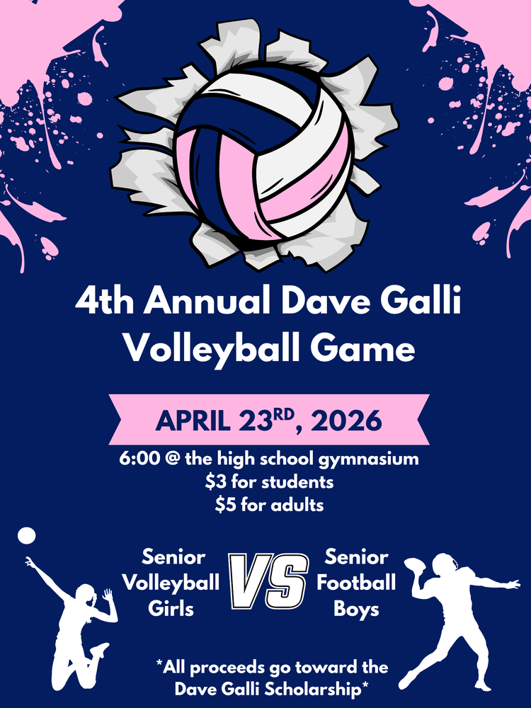 4th Annual Dave Galli Volleyball Game