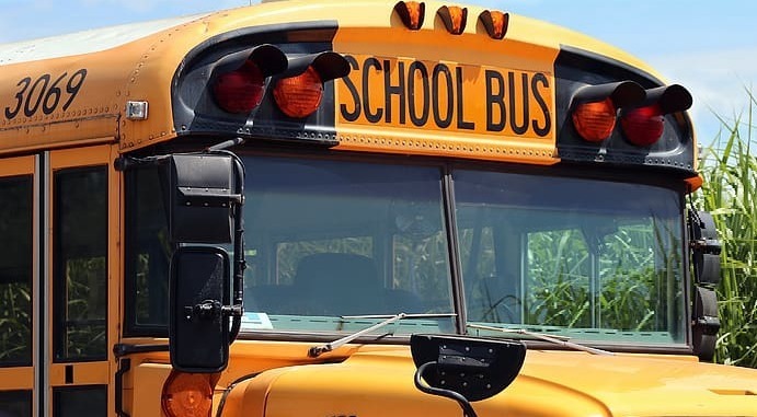 bus
