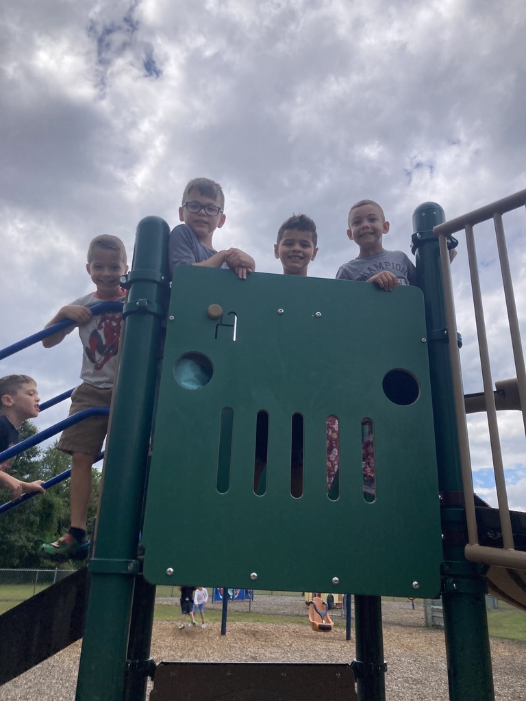 A group of boy smile at the camera on the top of green playground equipment.