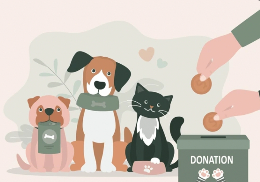 An illustration shows three animals sitting side by side: a light brown dog on the left holding a bag of dog food in its mouth, a medium brown-and-white dog in the middle with a green bone-shaped collar, and a black-and-white cat on the right sitting next to a pink bowl with a paw print. To the right of the animals is a green donation box labeled “DONATION” with white paw prints on it. Two human hands are shown from the right side dropping coins into the donation box. The background is soft pastel colors with abstract plant shapes and small heart shapes.