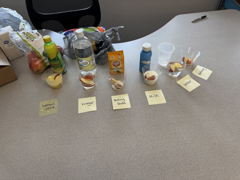 A table with lemon juice, vinegar, backing soda, milk, water and nothing labeled . With apples in clear cups of each. 