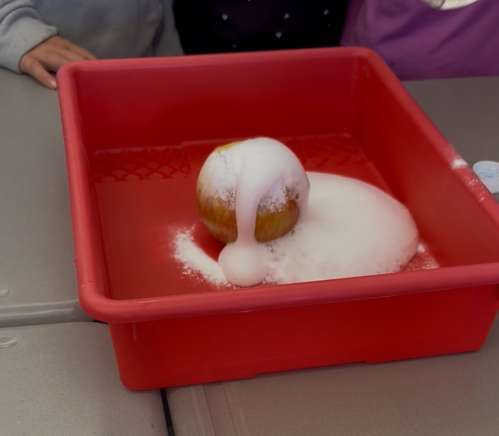 An apple in a red bin with a vinegar and baking soda recation. 