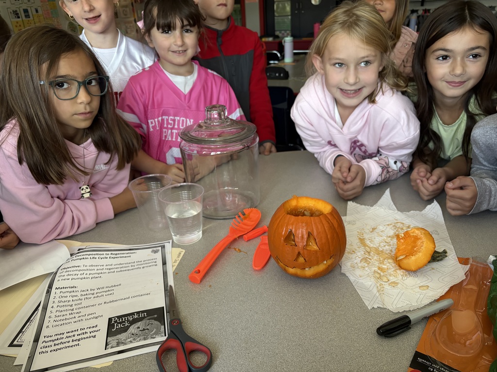 Students around a classroom table with a glass jar, carved pumpkin and tools.
