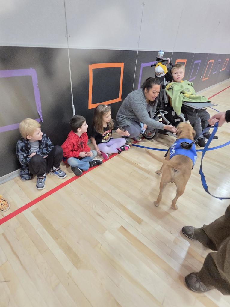 A group of students seated in the gym petting a dog with a blue vest.