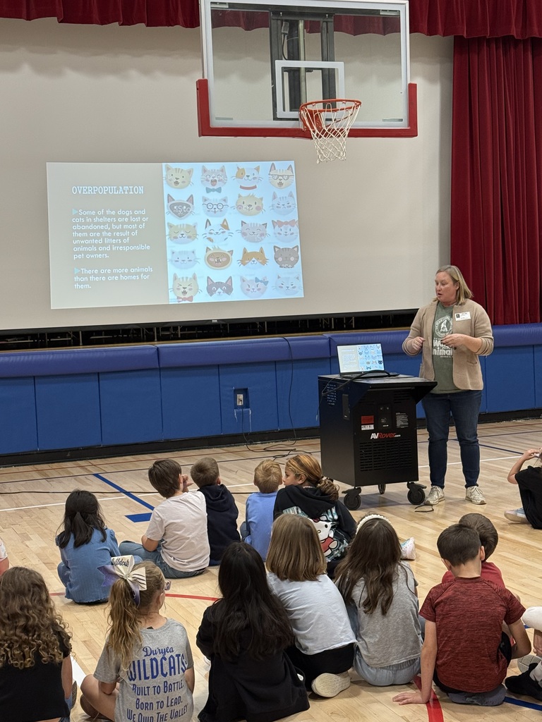 Carol from the SPCA presenting about cat overpopulation to kids seated in a gym.