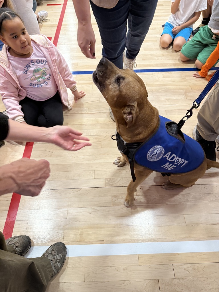A group of students smiling at the camera holding donated items such jas paper towels, cleaning supplies and dog treats.