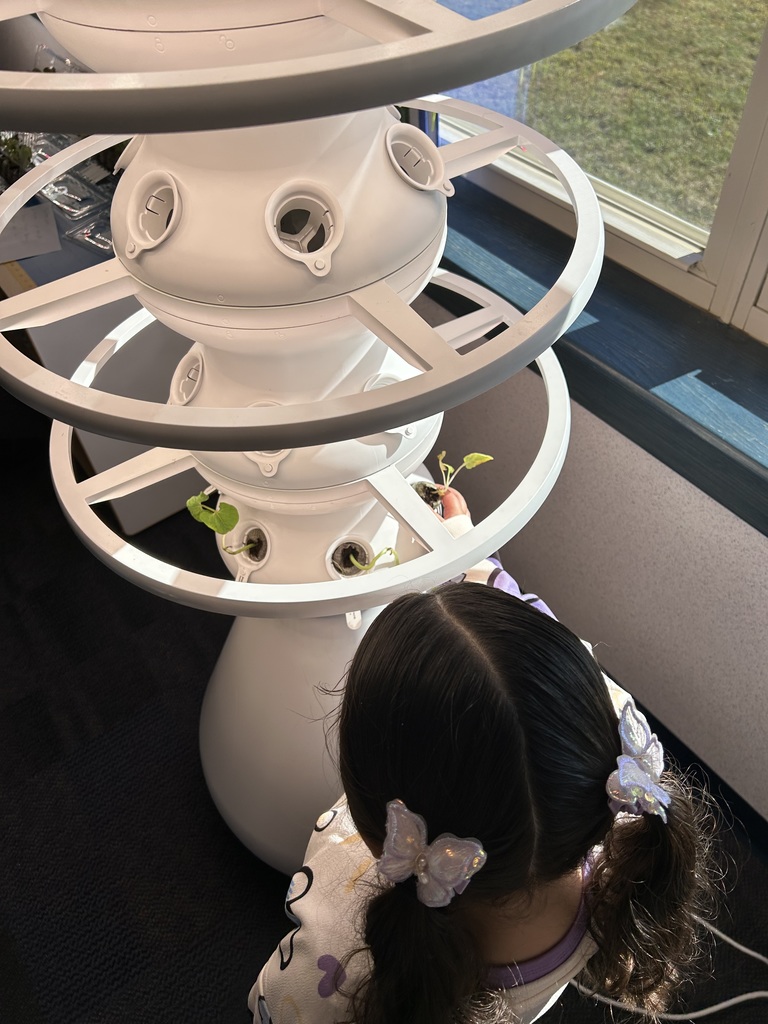 A student planting a seedling in a hydroponic farm stand.
