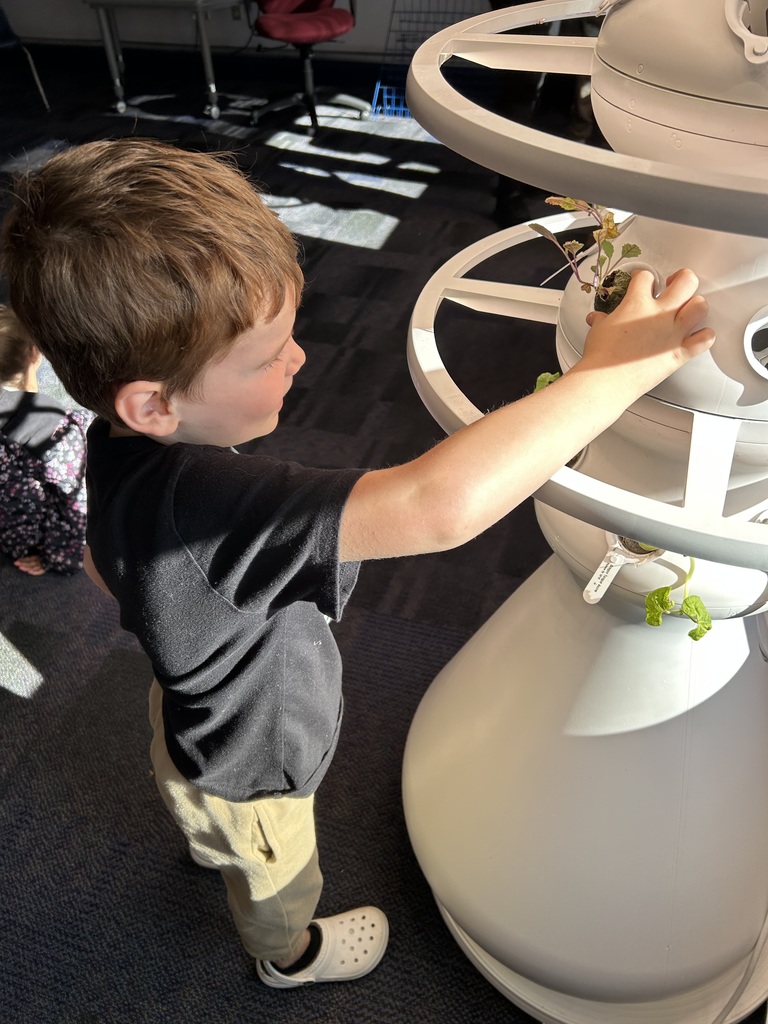 A student planting a seedling in a hydroponic farm stand.