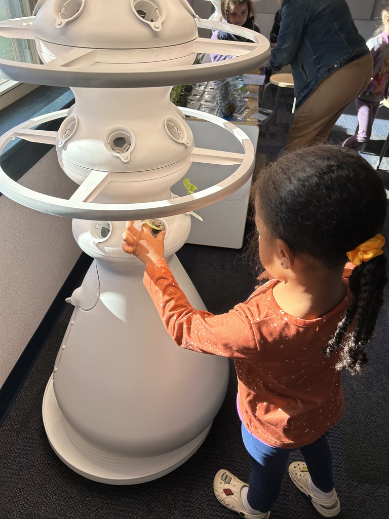 A student planting a seedling in a hydroponic farm stand.