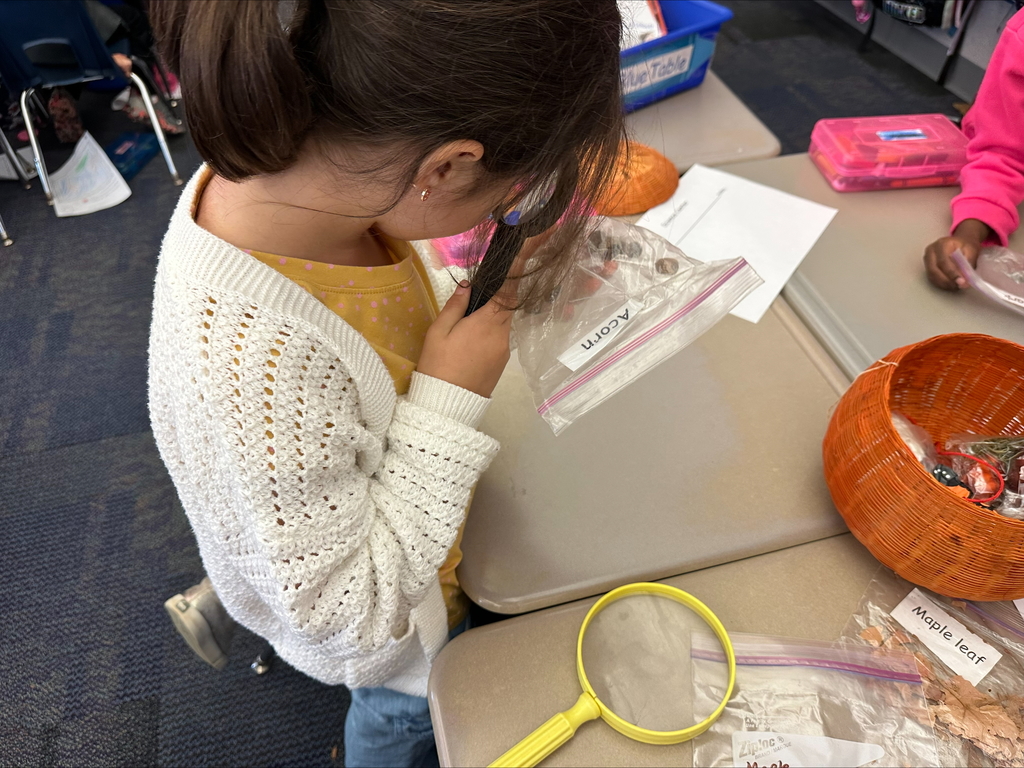 Students working on learningh centers