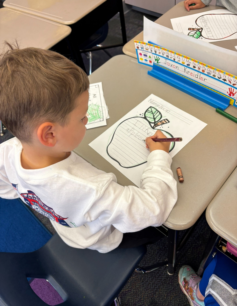 A boy writing about apples .