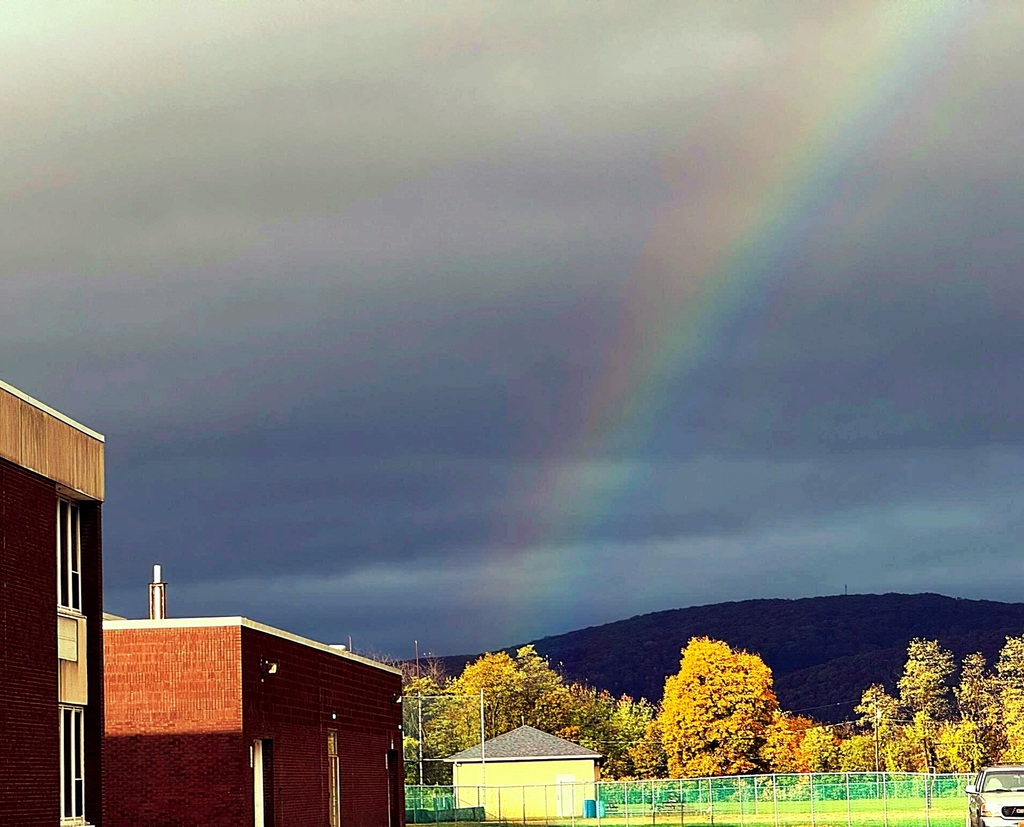 Rainbow over the PAMS