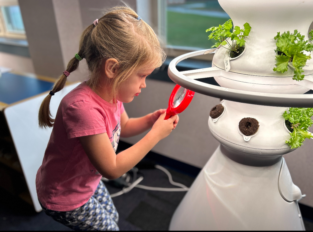 A student looking at a seedling in a hydroponic farm stand.