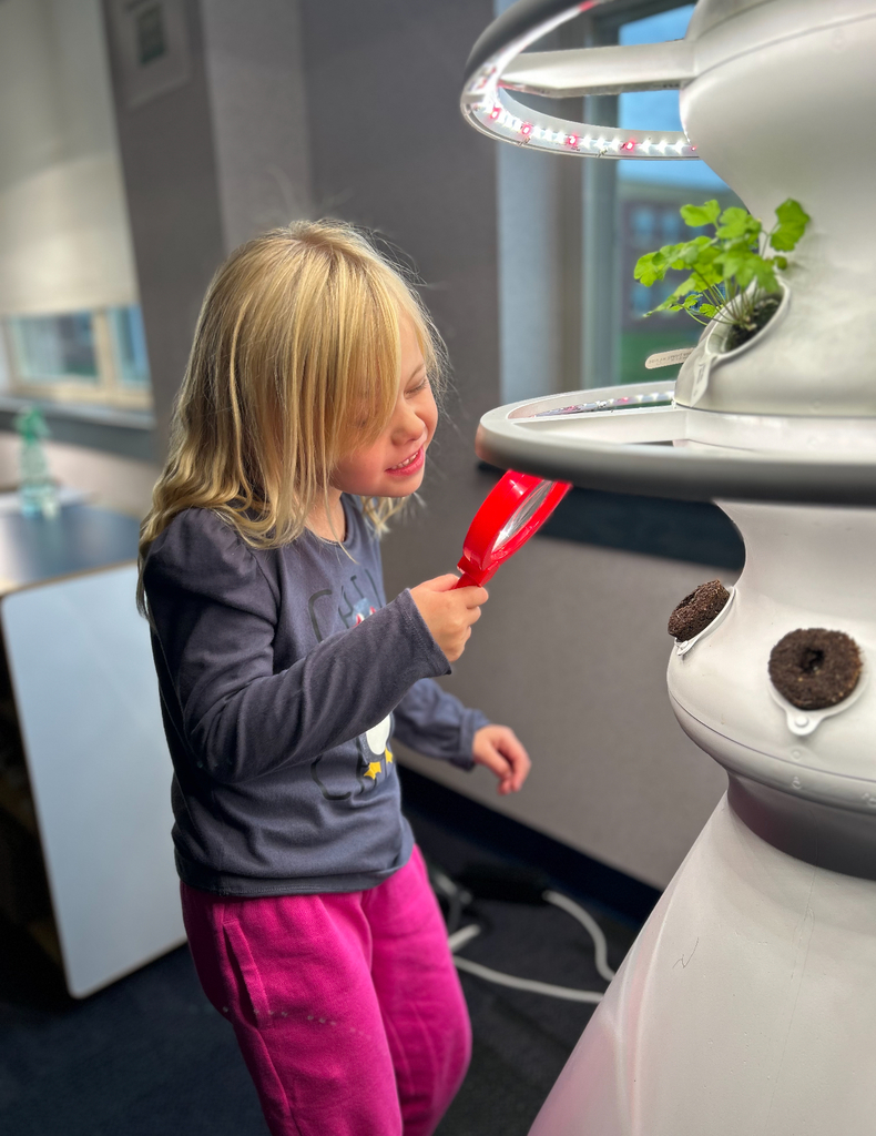 A student looking at a seedling in a hydroponic farm stand.