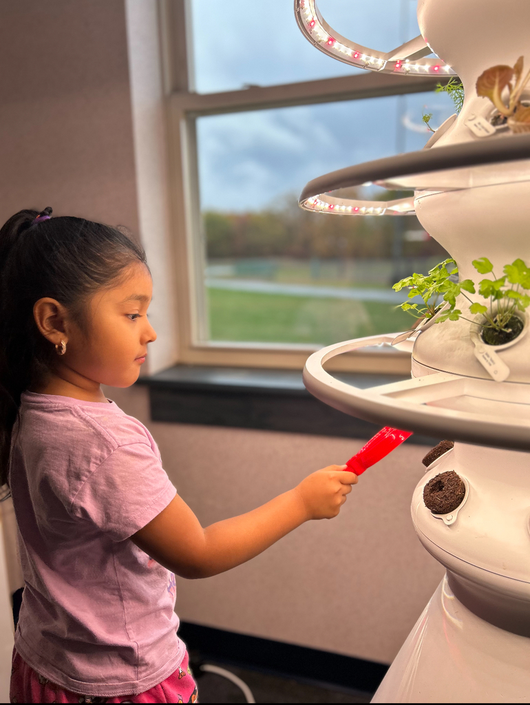 A student looking at a seedling in a hydroponic farm stand.