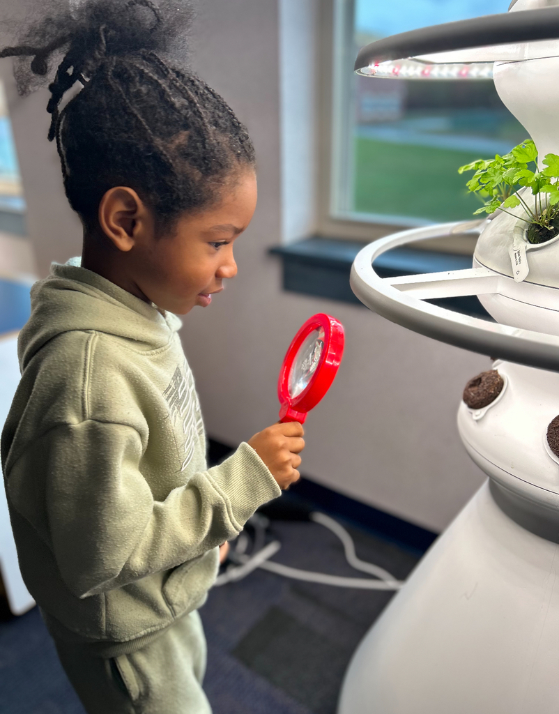 A student looking at a seedling in a hydroponic farm stand.