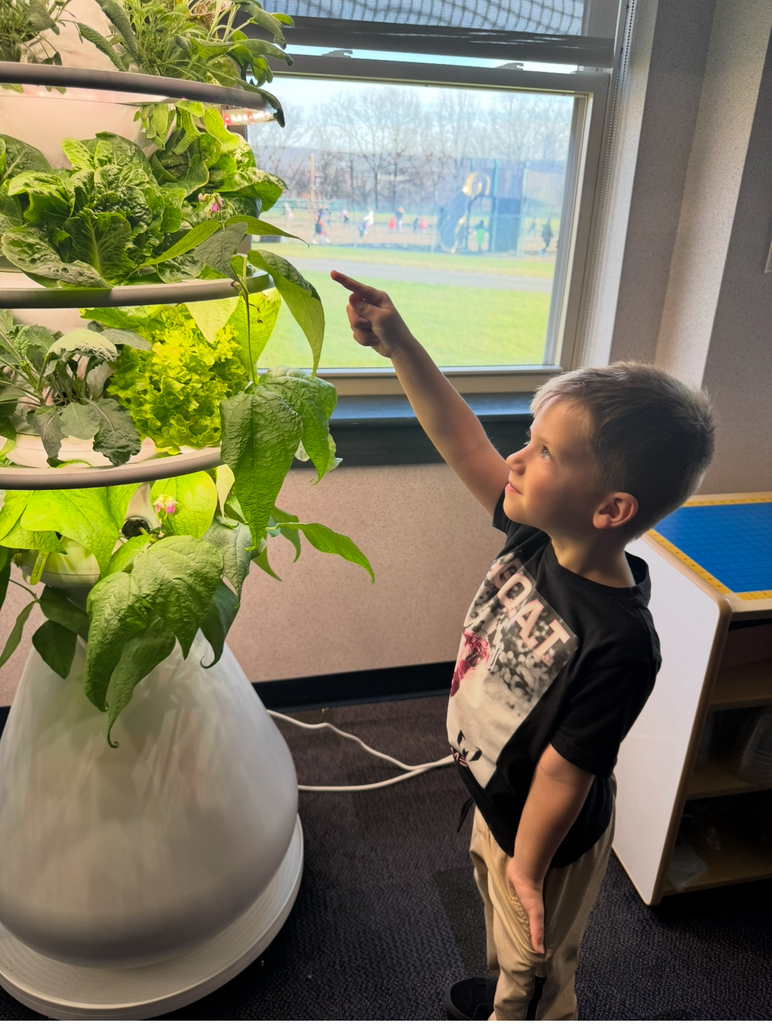 Student looking at pea vines on a hydroponic farm stand