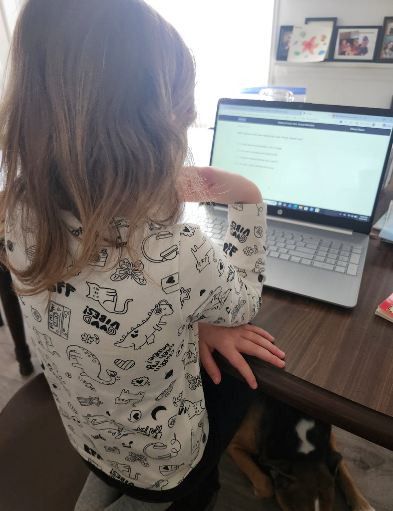 A student taking an AR quiz on a computer