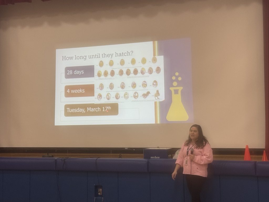 Kids in a gym with a duck presentation.