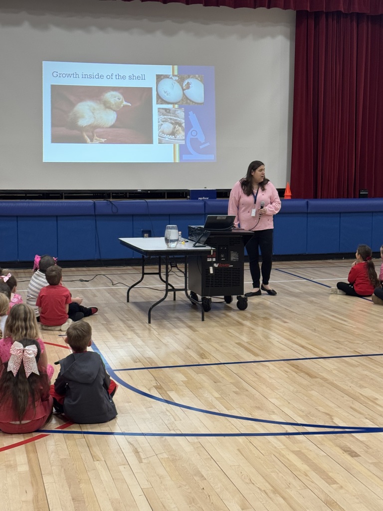 Kids in a gym with a duck presentation.
