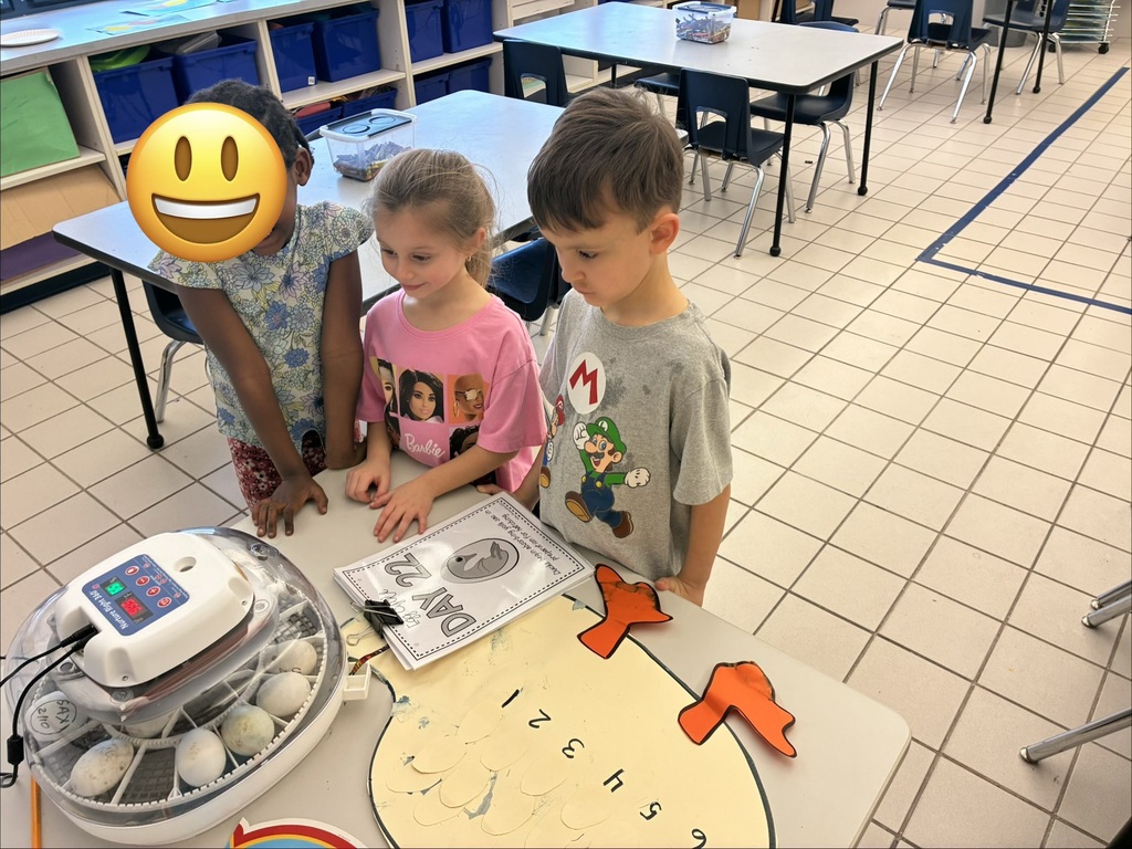 An incubator in a classroom with three students looking at duck eggs
