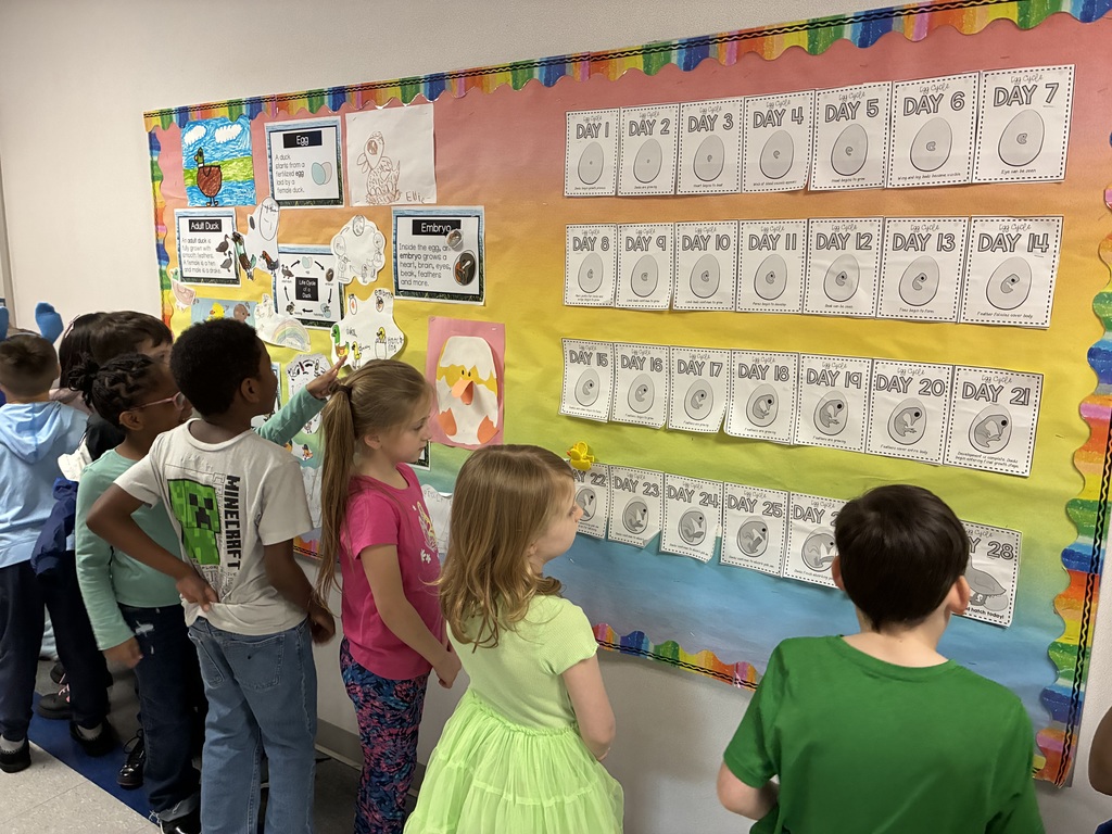 Kids looking at the duck bulletin board.