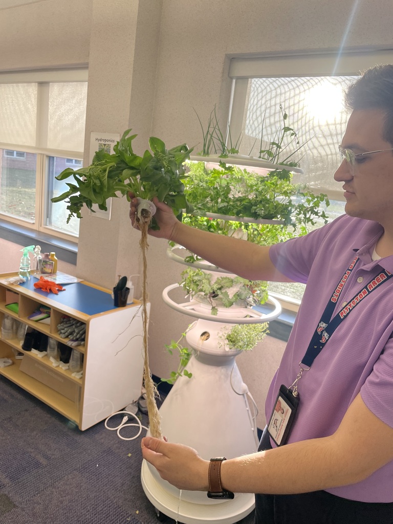 Students harvesting greens from a hydroponic farm stand.