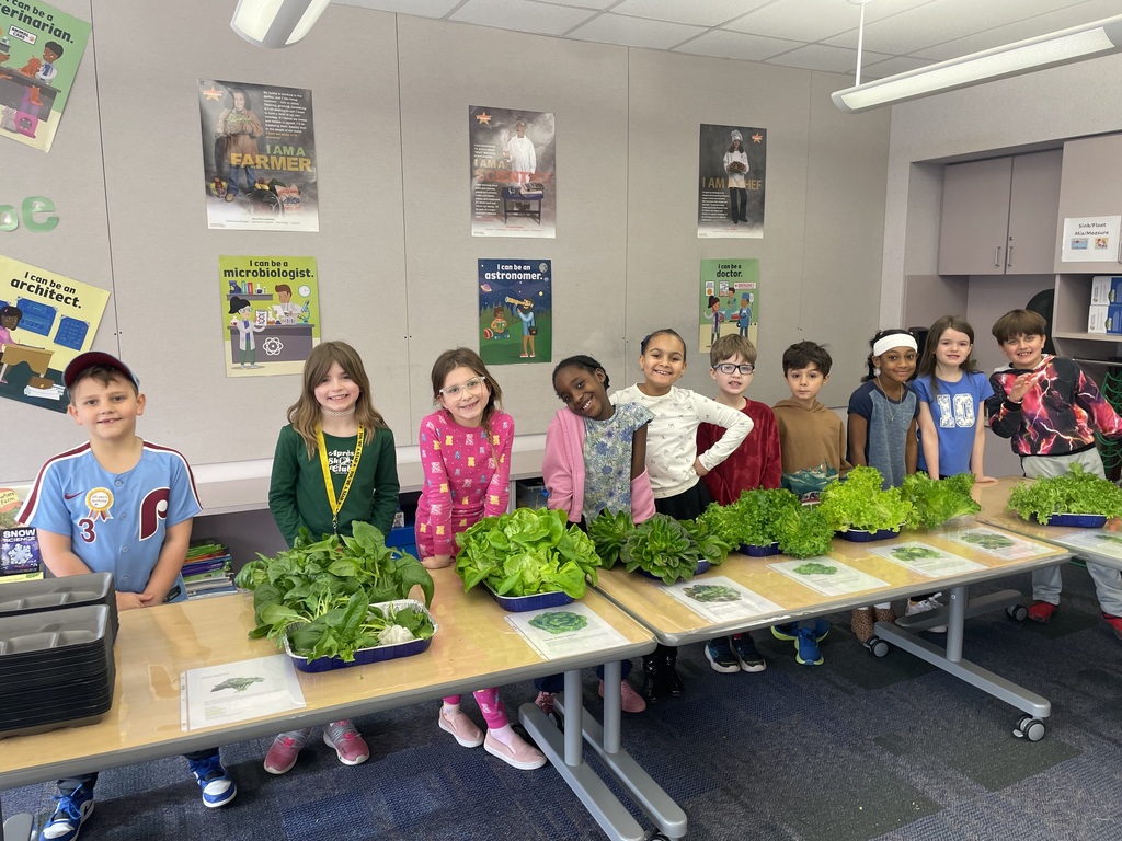 Students harvesting greens from a hydroponic farm stand.