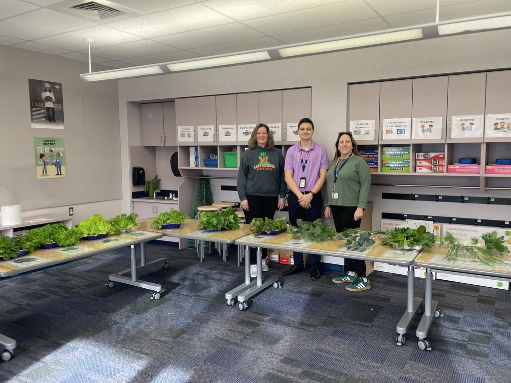 Students harvesting greens from a hydroponic farm stand.