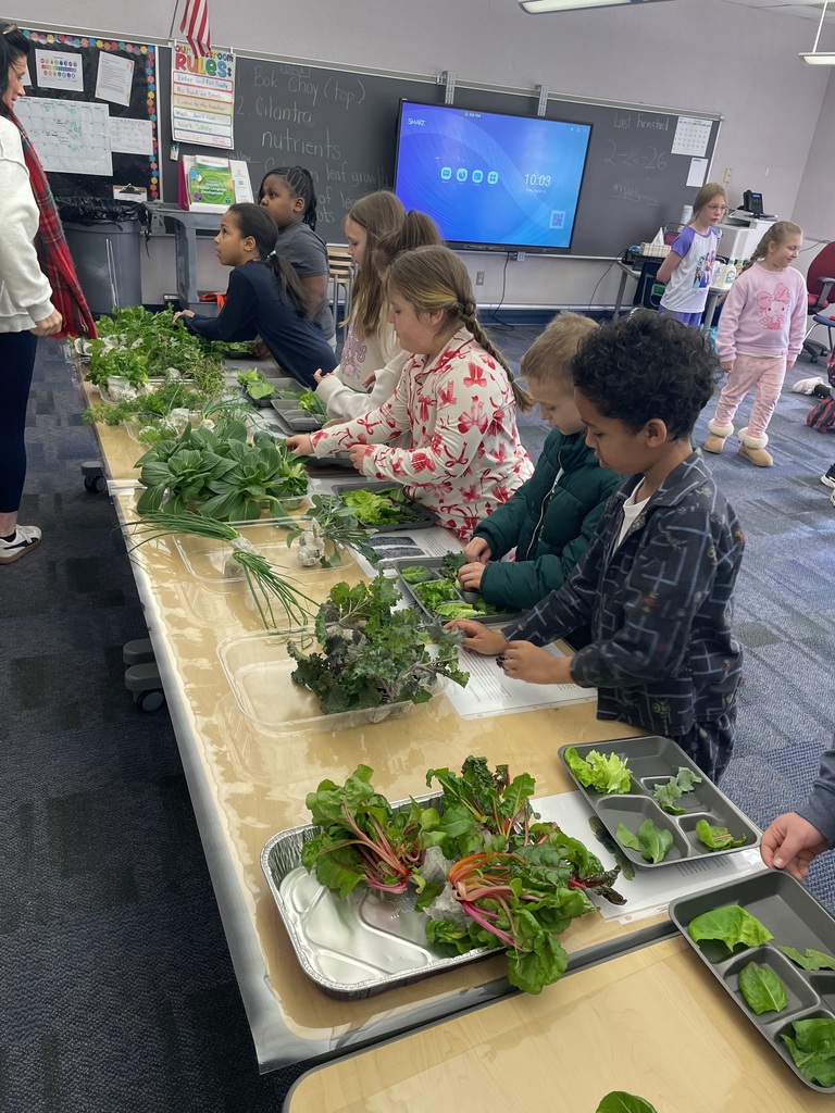 Students harvesting greens from a hydroponic farm stand.