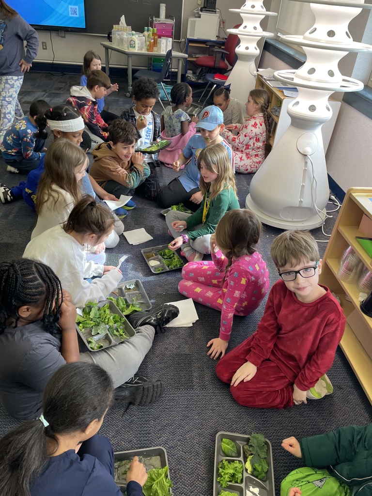 Students harvesting greens from a hydroponic farm stand.