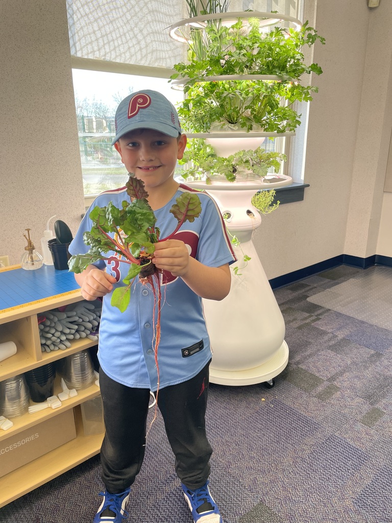 Students harvesting greens from a hydroponic farm stand.