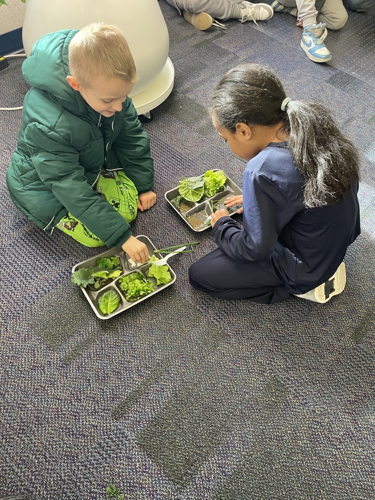 Students harvesting greens from a hydroponic farm stand.