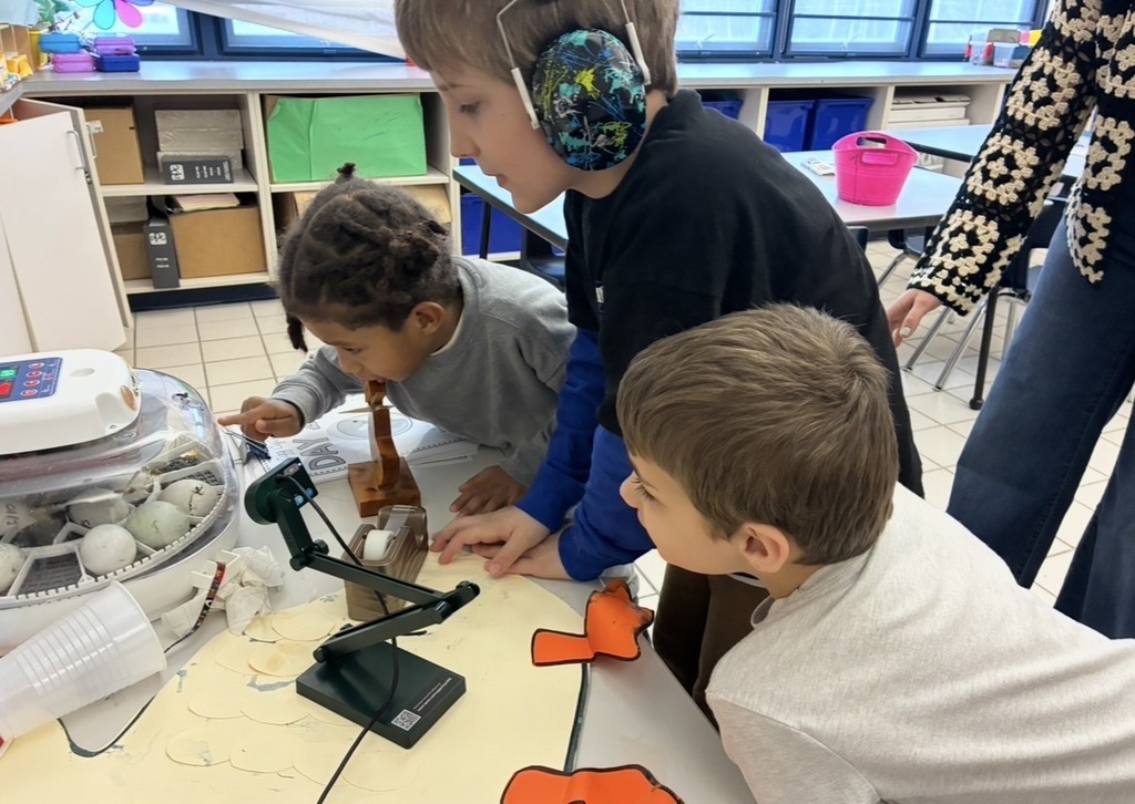 Students looking at ducks hatching in the incubator