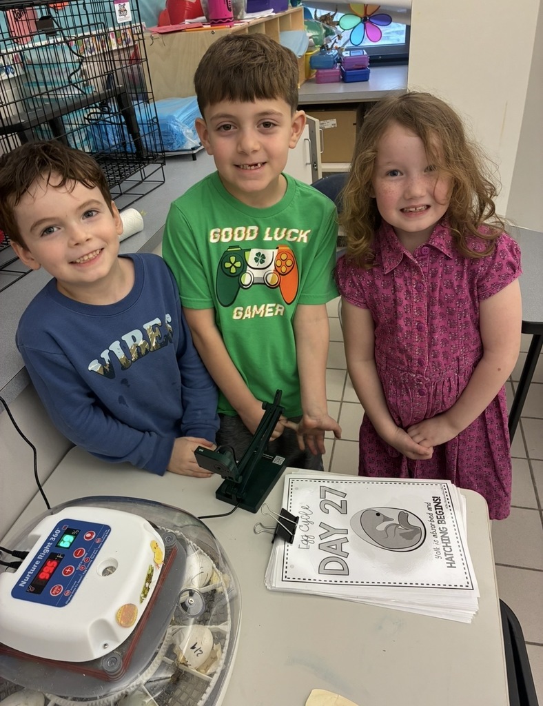 Students looking at ducks hatching in the incubator
